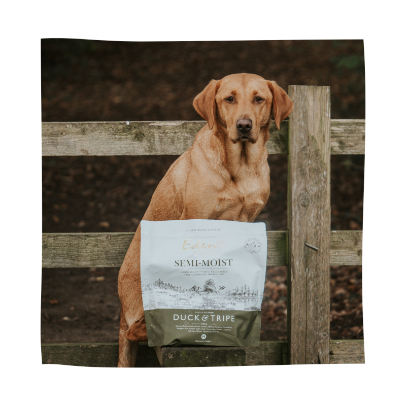 Eden Dog- Semi-Moist Eend - Graan- en Glutenvrij